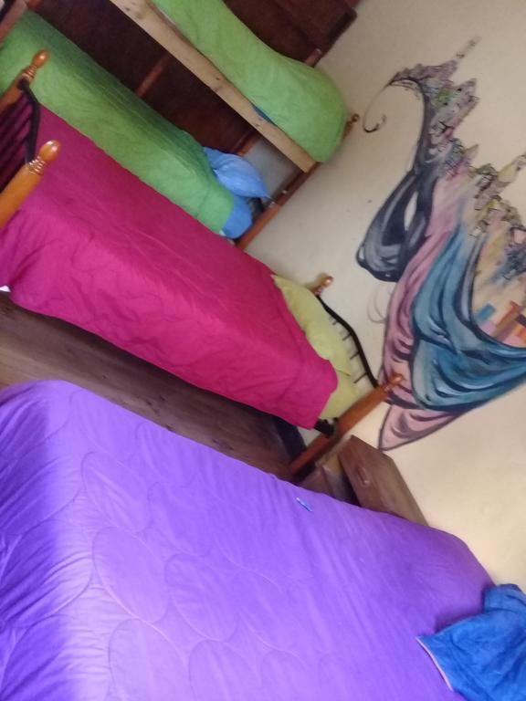 Hostal Polanco Cerro Alegre Hostel